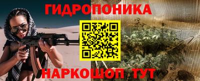 тгк Канаш