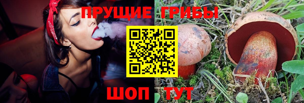 наркота  Псилоцибиновые грибы Psilocybine cubensis  Вход с VPN  Кудрово 