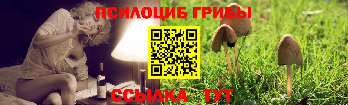Галлюциногенные грибы GOLDEN TEACHER Кудрово
